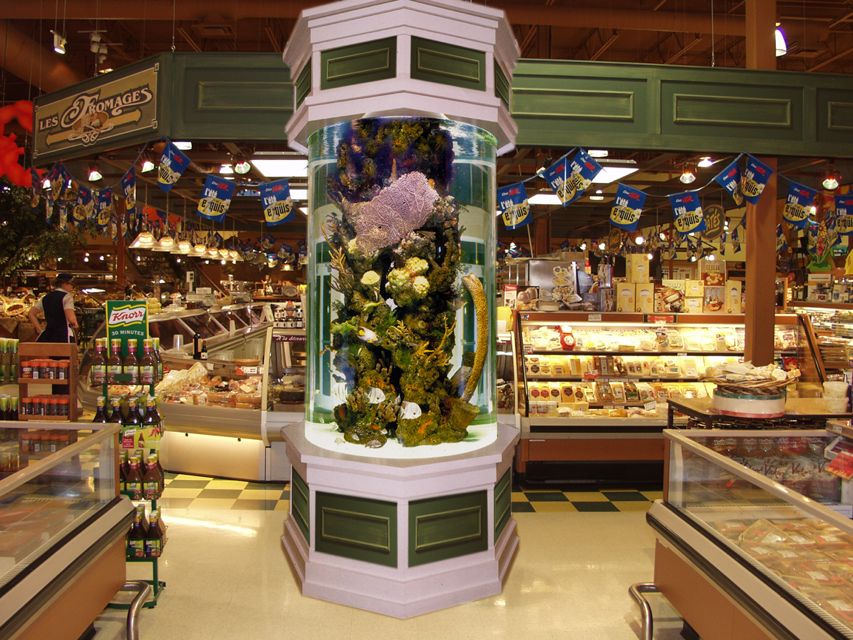 Création aquarium Montréal & province de Québec ǀ Aqua Style Design